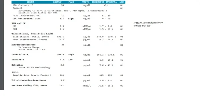 labs2.webp