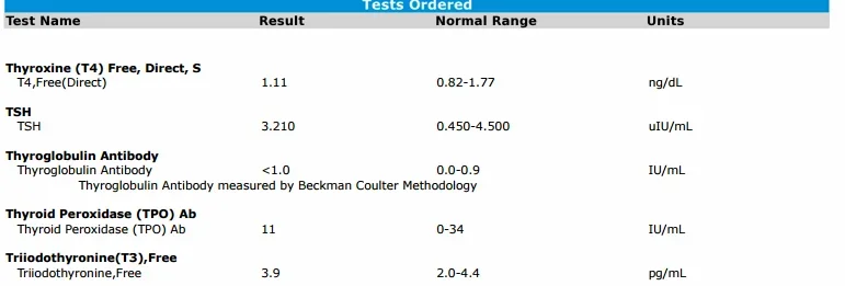 result.pdf.webp