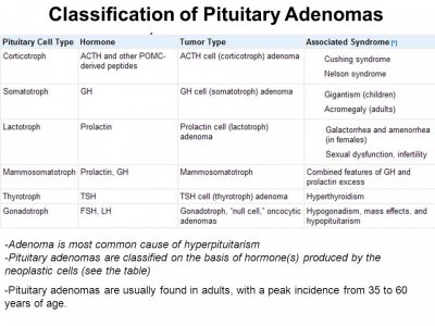 pituitary tumors 2.jpg
