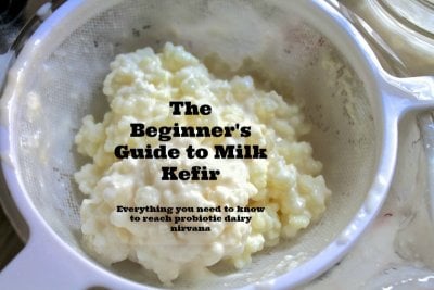 Milk-Kefir-Grains-in-a-strainer-label.jpg