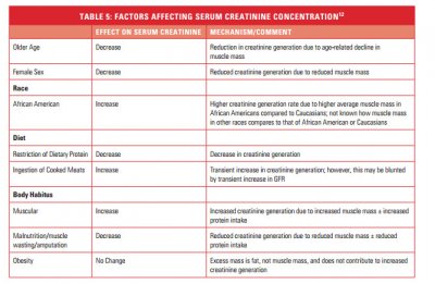 factors affecting creatinine.jpg
