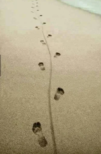 Why I can't visit nude beaches - edited (ID 237).webp
