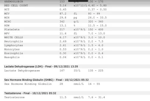 BT_1.webp