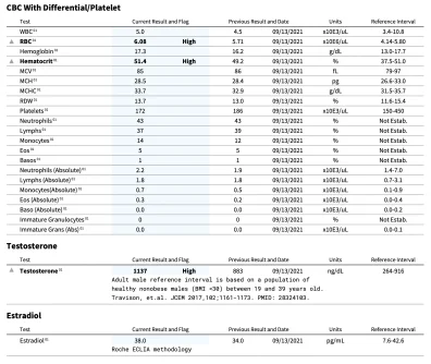 Results.webp