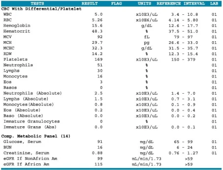 labs1.webp