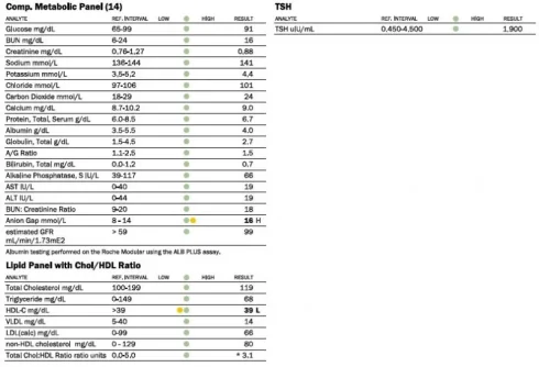 Labs5.webp