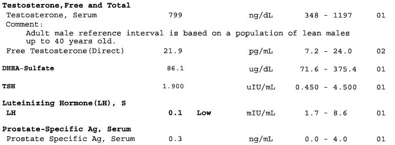 Labs3.webp