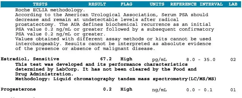 Labs4.webp