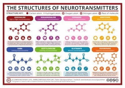 neurotransmitters.jpg