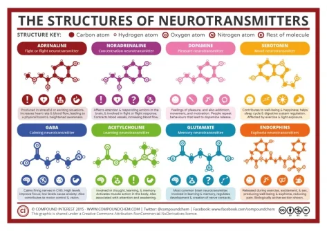 neurotransmitters.webp