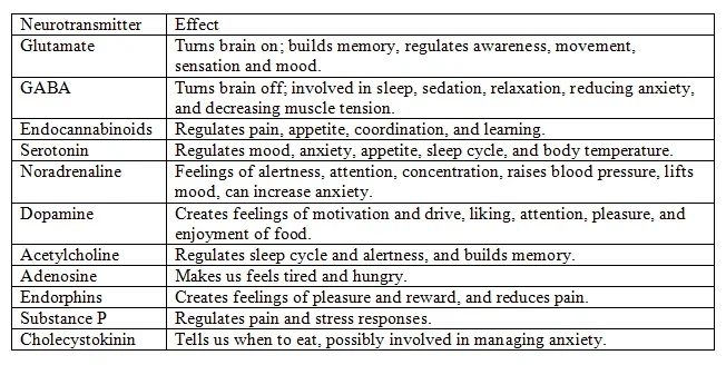 neurotransmitters table.webp