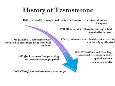 history of testosterone.webp