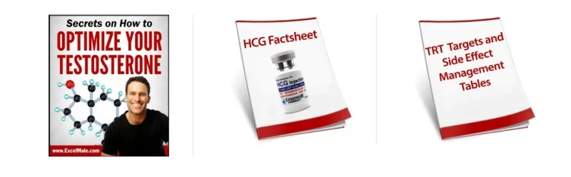 fact sheets.webp