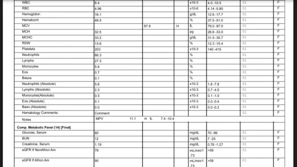 IMG_2369.webp