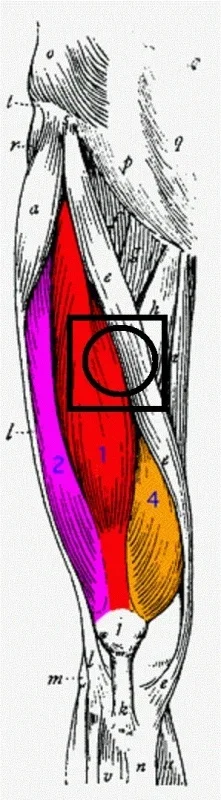 LeftLegRightHandProp.webp LeftLegRightHandProp.webp
