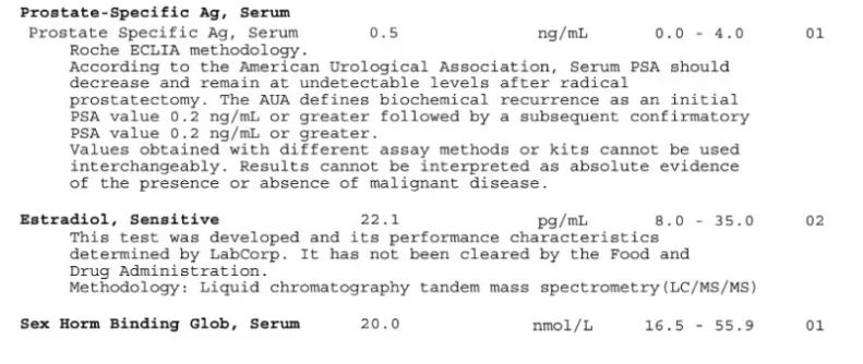 estro.webp