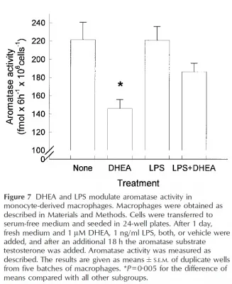 dhea_aromatase_inhibition_endotoxin_lps.webp