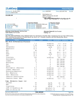Labs1.webp Labs1.webp