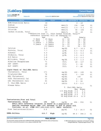 Labs2.webp Labs2.webp