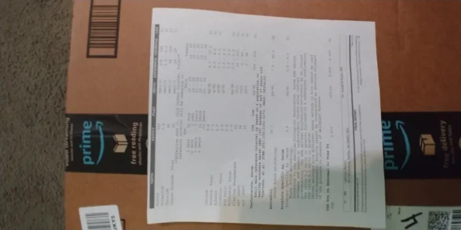 15309935070741001262053415370621.webp