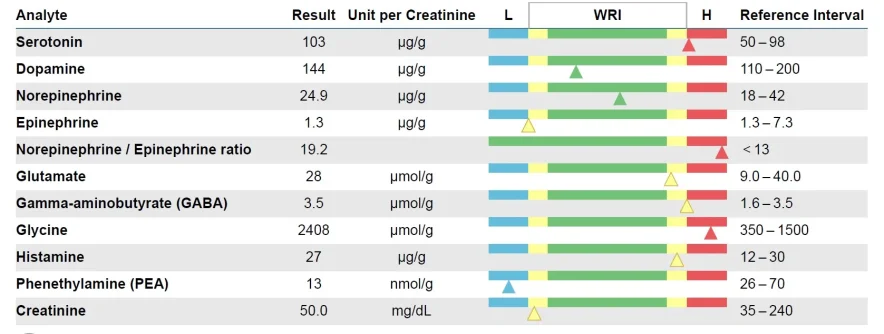 Neurotransmitter labs.webp