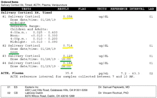 Cortisol labs.webp