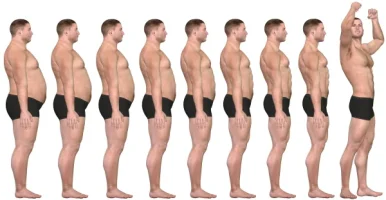 fat loss.webp