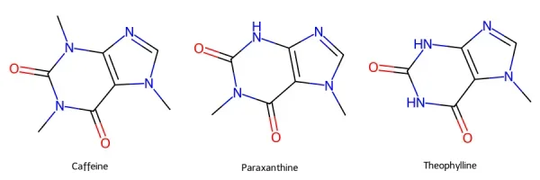 46A2C1AB-8175-4B95-94B4-6950B30F6349.webp