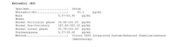 6.webp