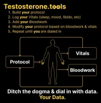 testosterone tools app.webp