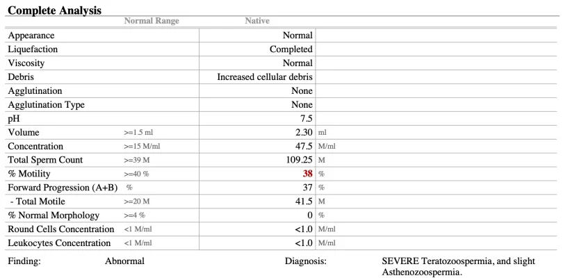 Screenshot 2026-03-05 at 1.36.42 PM.webp