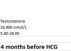 4 months prior to HCG.jpg