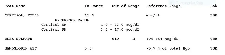 2.webp