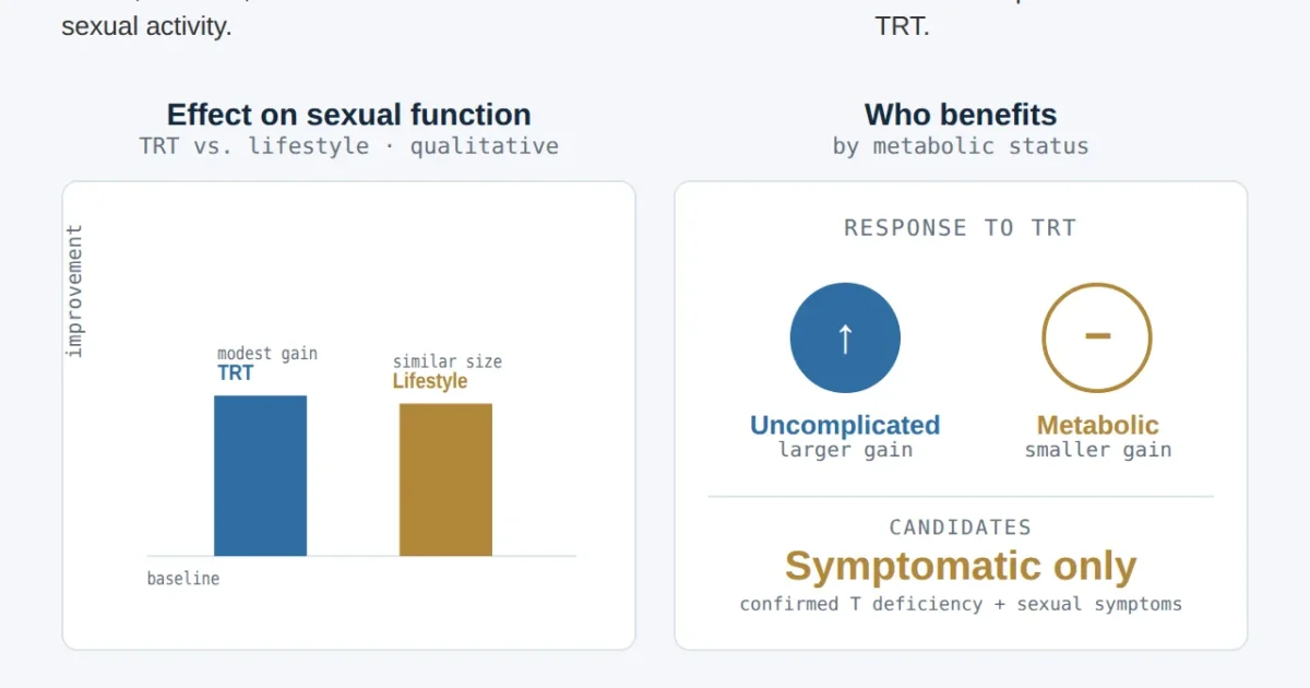 www.excelmale.com