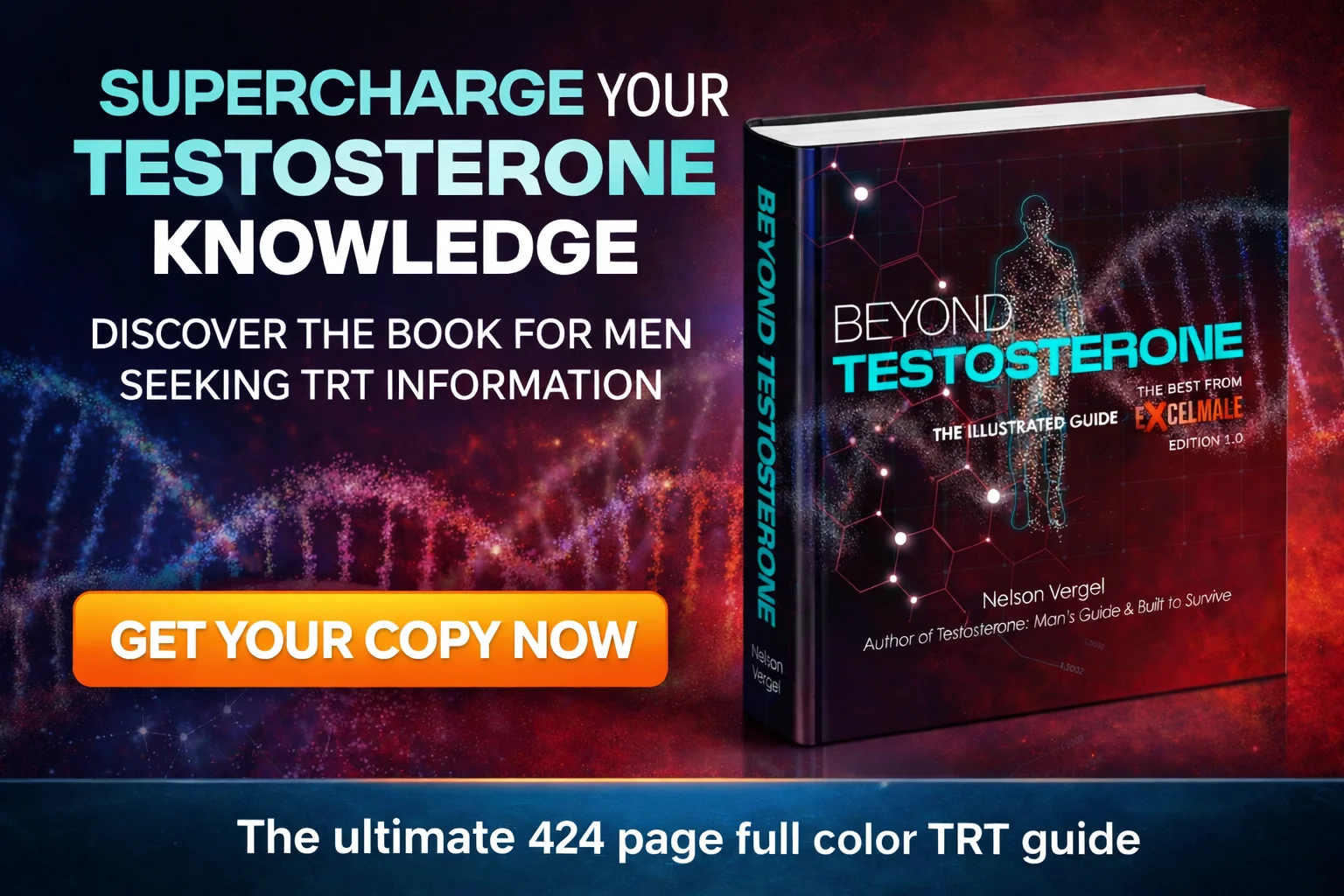 Beyond Testosterone Book by Nelson Vergel