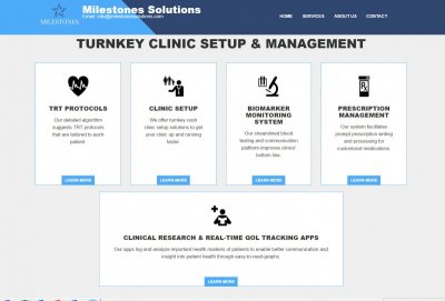 Milestones Solutions Homepage Feb 2017.jpg
