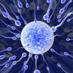 Basic Semen Analysis Exelmale