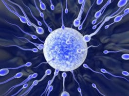 Semen analysis results Excelmale