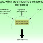 Role of Aldosterone Exelmale