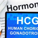 HCG Restores Spermatogenesis Exelmale