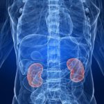 Affect Kidneys Excelmale