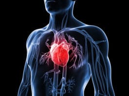 Men’s Heart Disease Exelmale