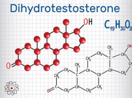 Effect of DHT on Prostate Excelmale