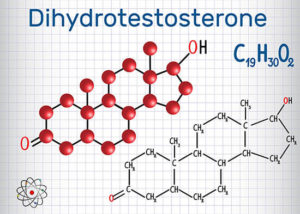 Effect of DHT on Prostate Excelmale