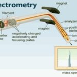 Hormone Blood Testing Exelmale
