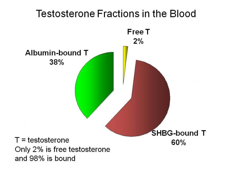 How to Lower SHBG and Increase Free Testosterone ExcelMale