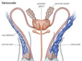 medications that affect male reproduction