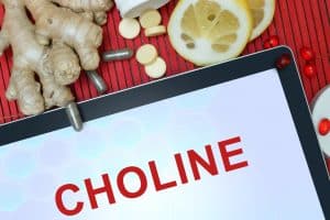 choline supplementation