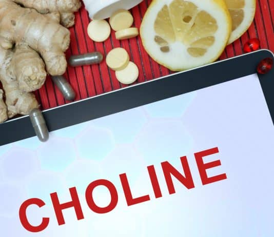 choline supplementation