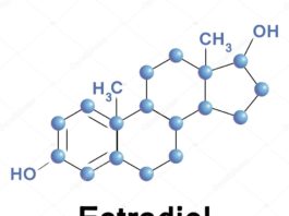 Estradiol Exelmale